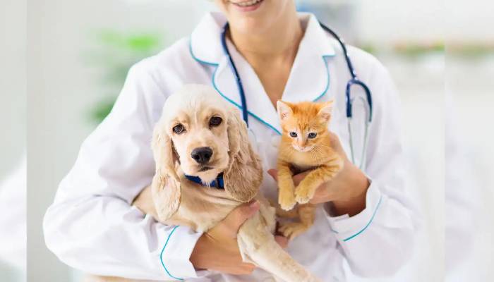 Term Life Insurance